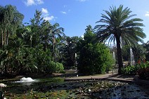 Brisbane's botanic gardens